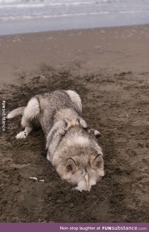 Found moon moon on the beach