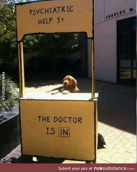 dr doggo is here 2 help