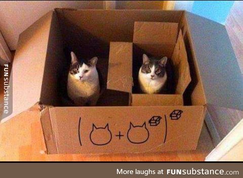 Cat math :)