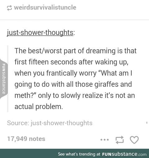 Weird dreams are the best