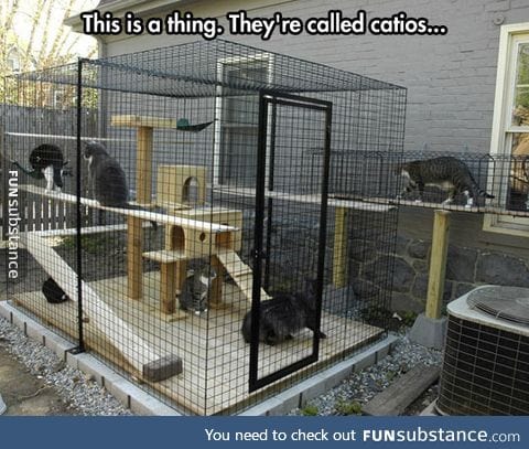 Catio in the backyard