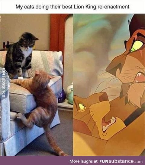 Lion king