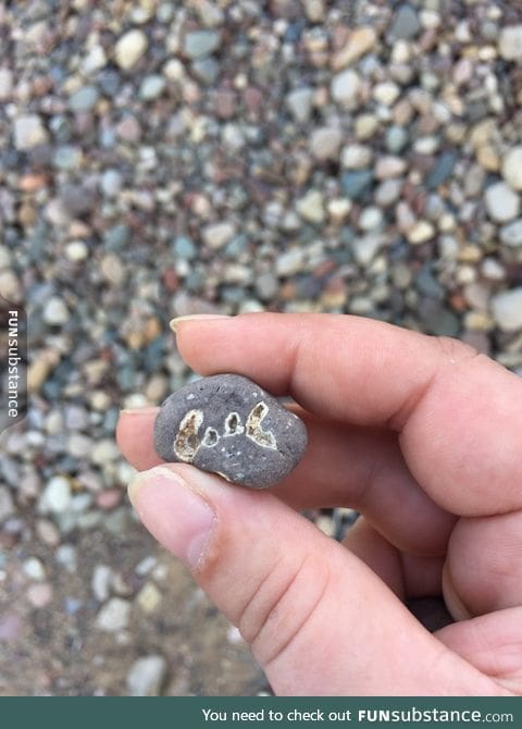 Check out this really cool rock