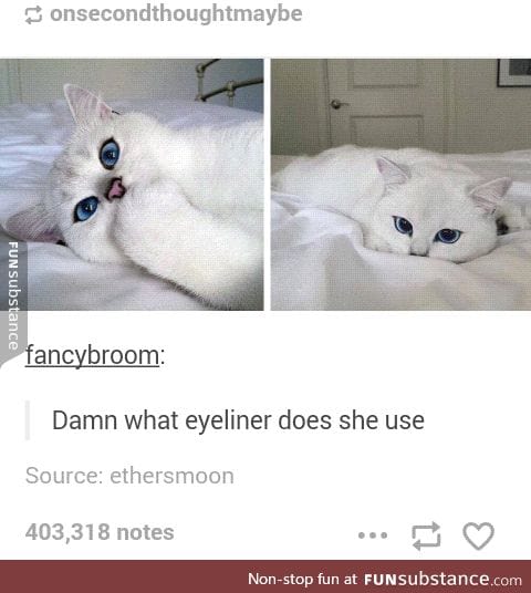 Her cat eye is on fleek