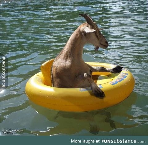 Whatever floats your goat