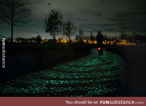 Gorgeous bicycle path in the Netherlands, based on van Gogh's ''Starry Night''