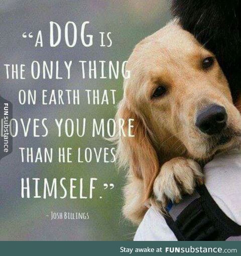 Truth about dogs