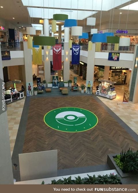 This mall is a Pokemon Gym so it turned its lobby into a Pokemon Arena