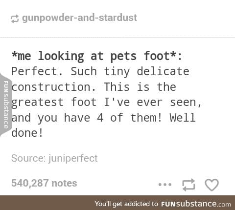 Cat feet are the cutest