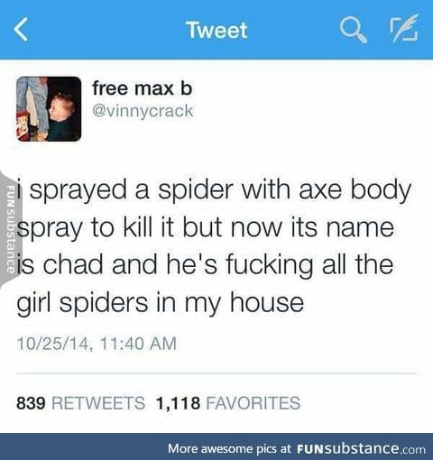 Spider Chad