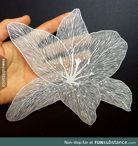 Cut from a single piece of paper