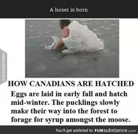 A hoser is born