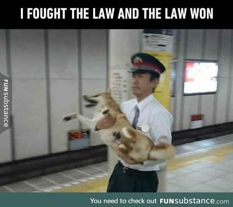 Set doge free! Doge is innocent of all charges!