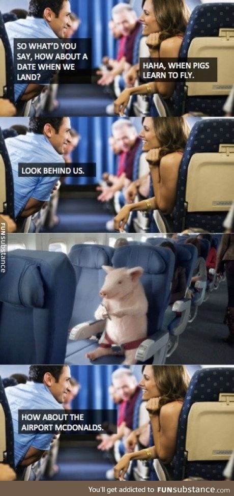 When your wingman is a pig