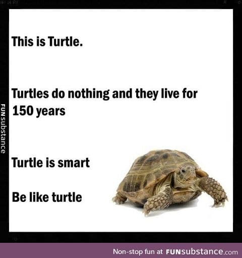 Do nothing like Turtle