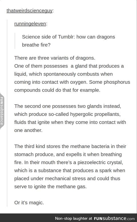 3 types of dragons
