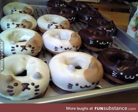 Cat donuts