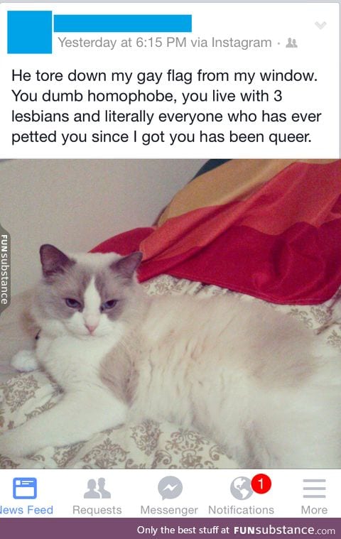 Homophobic cat is done with your shit