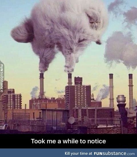 Pollution is actually cute