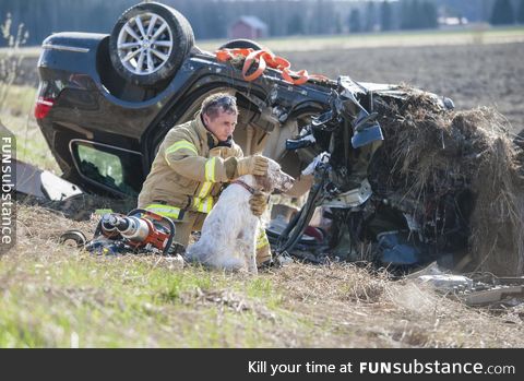 Firefighter comforting a dog that has been in a car crash