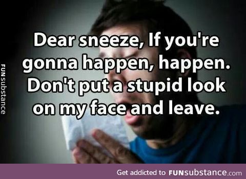 A letter to my sneeze