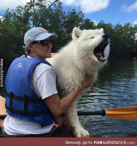 pupper doin a HECKin loud bork!