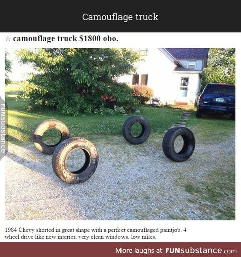 Camouflage truck