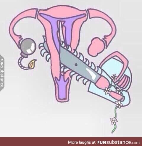 Accurate portrayal of the uterus during menstruation.