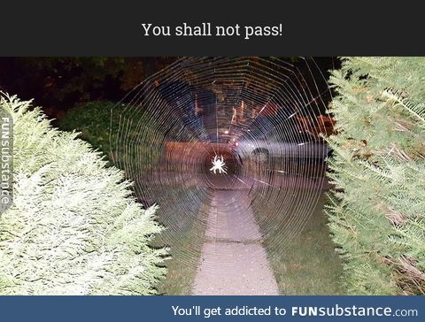 You shall not pass!