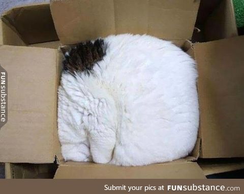 If it fits