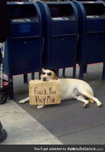 Doggo demands money