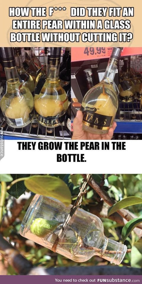 Bottled pear