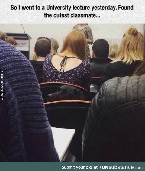 Cutest classmate