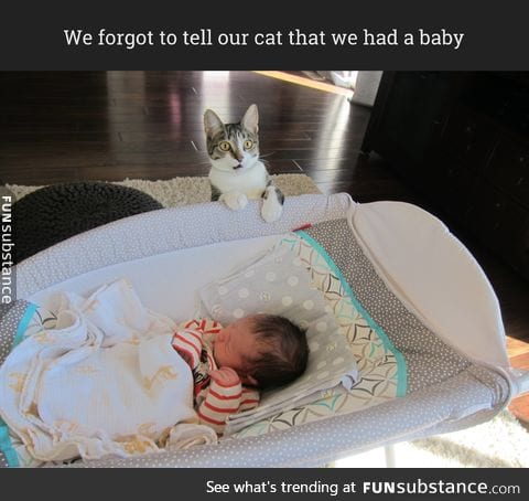 We forgot to tell our cat that we had a baby