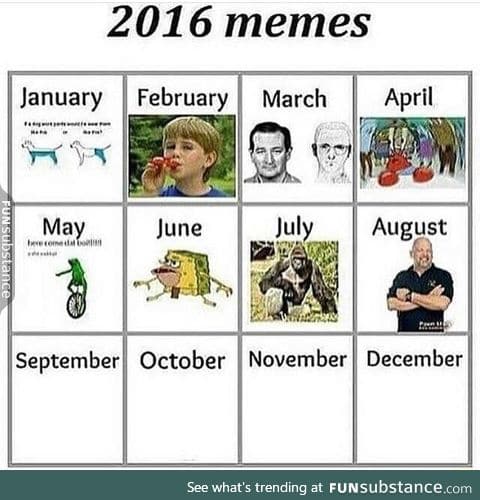 Memes in 2016 so far