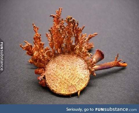 Copper crystals on a penny
