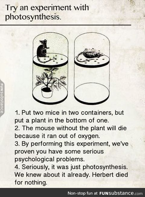 Experiment with photosynthesis