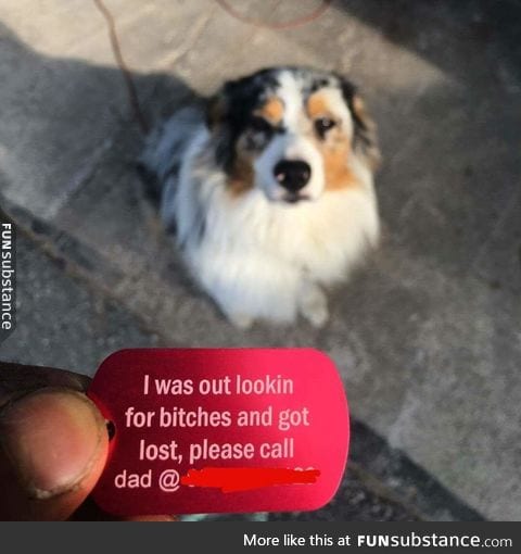 Puppers new tag