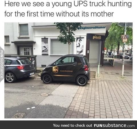 Baby Ups