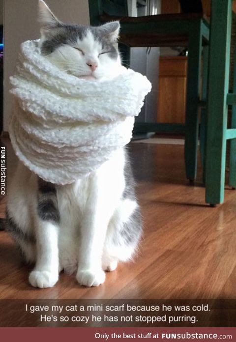 Cozy kitty scarf