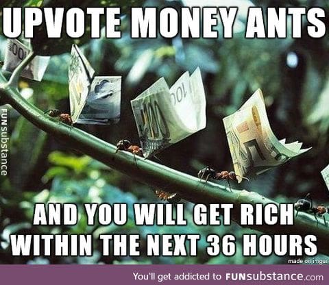 Wanna get rich?