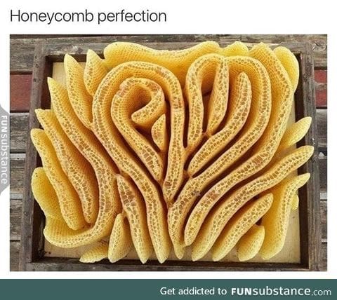 Honeycomb formation