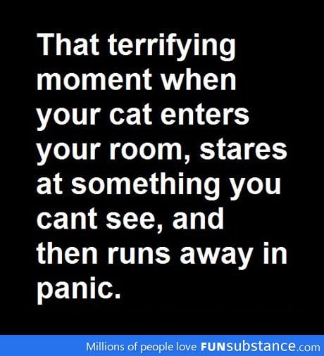 That terrifying moment