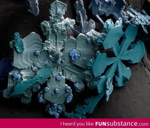 Electron microscope photo of a snowflake