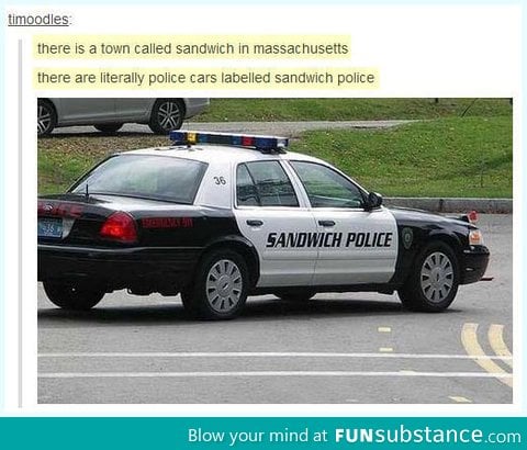 Sandwich Police