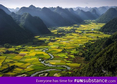 Alternating Rice Plots in Vietnam