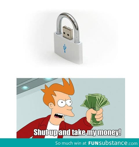 Secure Flash Drive