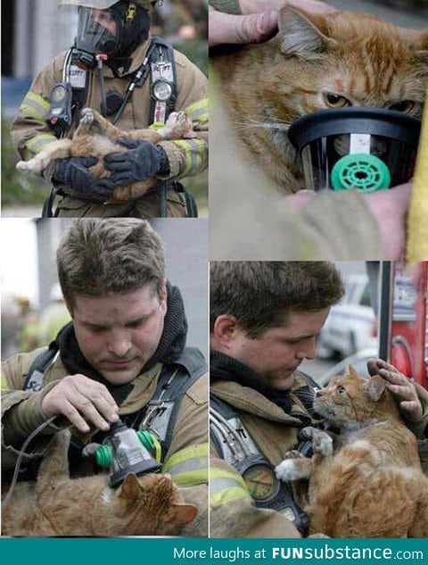 Firefighter saving a cat