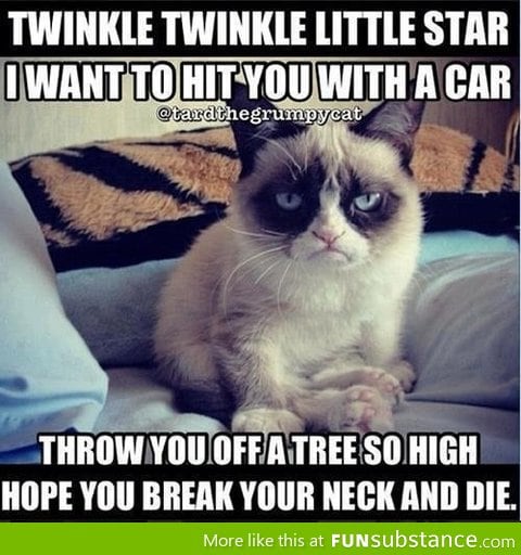 Grumpy cat poem