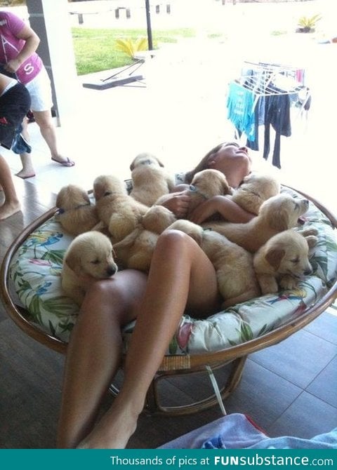 Puppy Blanket!